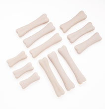 Lade das Bild in den Galerie-Viewer, Entdecker-Set: Dinosaurier-Knochen