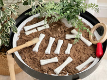 Lade das Bild in den Galerie-Viewer, Entdecker-Set: Dinosaurier-Knochen