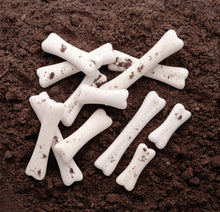 Lade das Bild in den Galerie-Viewer, Entdecker-Set: Dinosaurier-Knochen