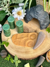 Lade das Bild in den Galerie-Viewer, Let’s Roll – Dinosaurs - Dinosaurier