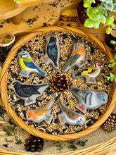 Lade das Bild in den Galerie-Viewer, Vögel - Birds – Sensory Play Stones