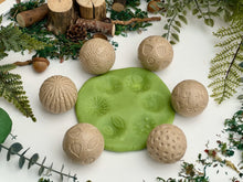 Lade das Bild in den Galerie-Viewer, Roll Around – Nature - Natur