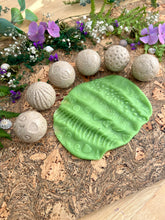 Lade das Bild in den Galerie-Viewer, Roll Around – Nature - Natur