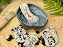 Lade das Bild in den Galerie-Viewer, Graben & Entdecken – Ankylosaurus & Tyrannosaurus Rex