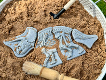 Lade das Bild in den Galerie-Viewer, Graben & Entdecken – Triceratops & Spinosaurus