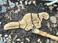 Lade das Bild in den Galerie-Viewer, Graben & Entdecken – Triceratops & Spinosaurus