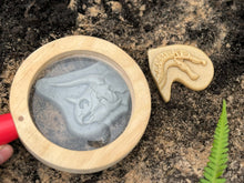 Lade das Bild in den Galerie-Viewer, Graben & Entdecken – Triceratops & Spinosaurus