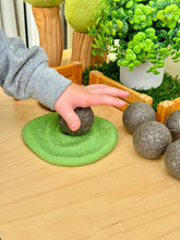 Lade das Bild in den Galerie-Viewer, Roll Around – Bauernhof Tiere - Farm Animals