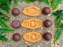 Lade das Bild in den Galerie-Viewer, Roll Around – Wilde Tiere - Wild Animals