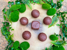 Lade das Bild in den Galerie-Viewer, Roll Around – Wilde Tiere - Wild Animals