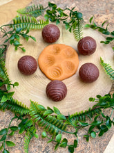 Lade das Bild in den Galerie-Viewer, Roll Around – Wilde Tiere - Wild Animals