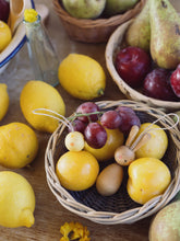 Lade das Bild in den Galerie-Viewer, Baumschmuck: Hop and Peep