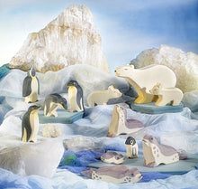 Lade das Bild in den Galerie-Viewer, Seehund liegend