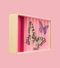 Lade das Bild in den Galerie-Viewer, Butterfly Anamorphic Box (Magische Schmetterlings-Murmelbox)