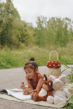 Lade das Bild in den Galerie-Viewer, Cozy Dinkums Fox - Finnley