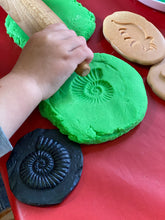 Lade das Bild in den Galerie-Viewer, Let's Investigate - Fossils - Fossilien