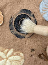 Lade das Bild in den Galerie-Viewer, Let's Investigate - Fossils - Fossilien