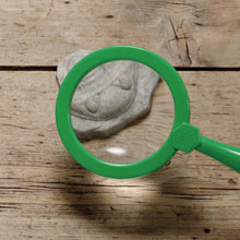 Lade das Bild in den Galerie-Viewer, Let's Investigate - Fossils - Fossilien