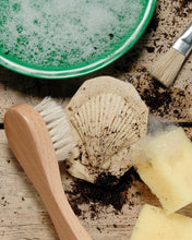 Lade das Bild in den Galerie-Viewer, Let's Investigate - Fossils - Fossilien