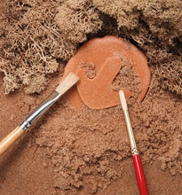 Lade das Bild in den Galerie-Viewer, Let’s Investigate – Dinosaur Footprints – Dino-Fußabdrücke