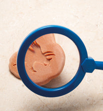 Lade das Bild in den Galerie-Viewer, Let’s Investigate – Dinosaur Footprints – Dino-Fußabdrücke