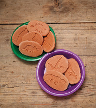 Lade das Bild in den Galerie-Viewer, Let’s Investigate – Dinosaur Footprints – Dino-Fußabdrücke