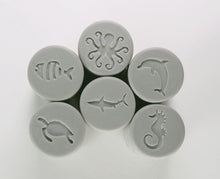 Lade das Bild in den Galerie-Viewer, Let’s Roll – Ocean Life – Ozeanleben