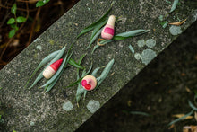 Lade das Bild in den Galerie-Viewer, Yay!