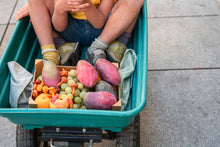Lade das Bild in den Galerie-Viewer, Mandala Kürbisse (Pumpkins)