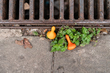 Lade das Bild in den Galerie-Viewer, Mandala Kürbisse (Pumpkins)