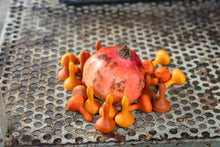 Lade das Bild in den Galerie-Viewer, Mandala Kürbisse (Pumpkins)