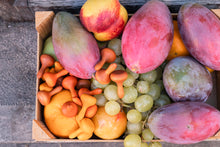 Lade das Bild in den Galerie-Viewer, Mandala Kürbisse (Pumpkins)