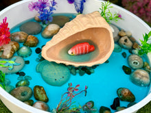 Lade das Bild in den Galerie-Viewer, Spiel-Muschel / Play Shell
