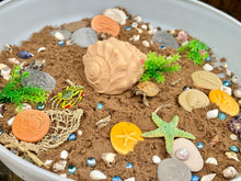 Lade das Bild in den Galerie-Viewer, Spiel-Muschel / Play Shell
