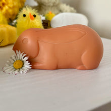 Lade das Bild in den Galerie-Viewer, Tierfreunde - Animal Friends – Sensory Play Set
