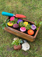 Lade das Bild in den Galerie-Viewer, Blumensteine - Sensory Play Stones - Flowers
