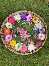 Lade das Bild in den Galerie-Viewer, Blumensteine - Sensory Play Stones - Flowers
