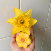 Lade das Bild in den Galerie-Viewer, Blumensteine - Sensory Play Stones - Flowers
