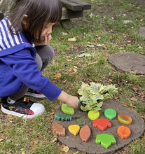 Lade das Bild in den Galerie-Viewer, Blätter - Sensory Play Stones - Leaves
