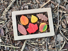 Lade das Bild in den Galerie-Viewer, Blätter - Sensory Play Stones - Leaves
