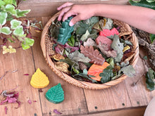 Lade das Bild in den Galerie-Viewer, Blätter - Sensory Play Stones - Leaves
