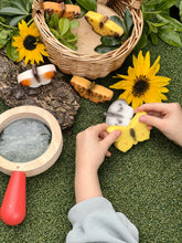 Lade das Bild in den Galerie-Viewer, Schmetterlinge - Butterflies – Sensory Play Stones
