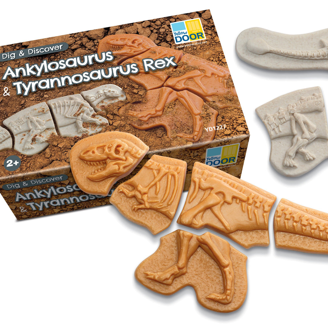 Graben & Entdecken – Ankylosaurus & Tyrannosaurus Rex