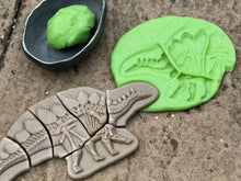 Lade das Bild in den Galerie-Viewer, Graben &amp; Entdecken – Pliosaur &amp; Stegosaurus
