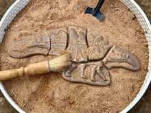 Lade das Bild in den Galerie-Viewer, Graben &amp; Entdecken – Pliosaur &amp; Stegosaurus
