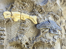 Lade das Bild in den Galerie-Viewer, Graben &amp; Entdecken – Pliosaur &amp; Stegosaurus
