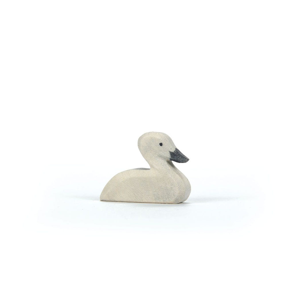 Schwan, klein