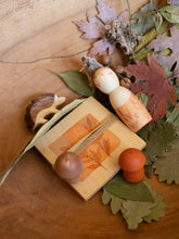Lade das Bild in den Galerie-Viewer, Hello Autumn - Box von Grapat &amp; Ostheimer
